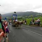 BZM Krumbach 2012 050.JPG