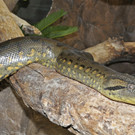 ABD0089-20130326.jpg