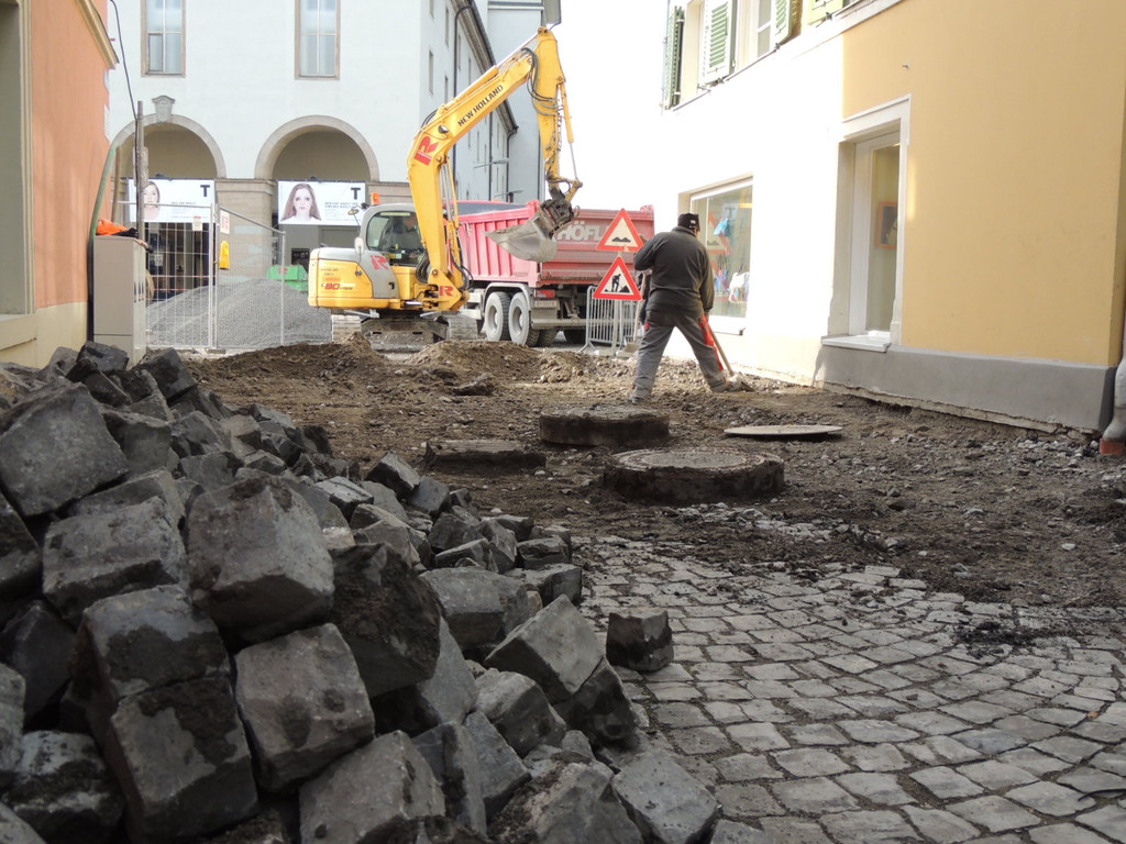 DSCN7556_JPG-1364342045