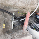 DSCN7509_JPG-1364342455