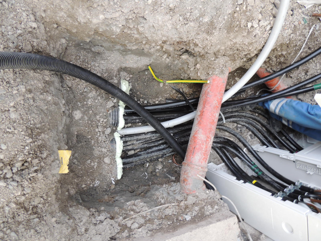 DSCN7509_JPG-1364342455