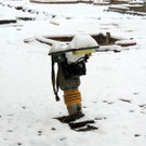 DSCN8835_JPG-1364342617