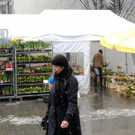 DSCN8975_JPG-1364343117