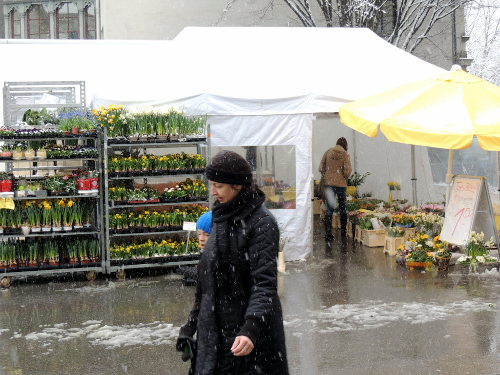 DSCN8975_JPG-1364343117