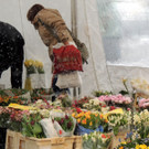 DSCN8980_JPG-1364343121