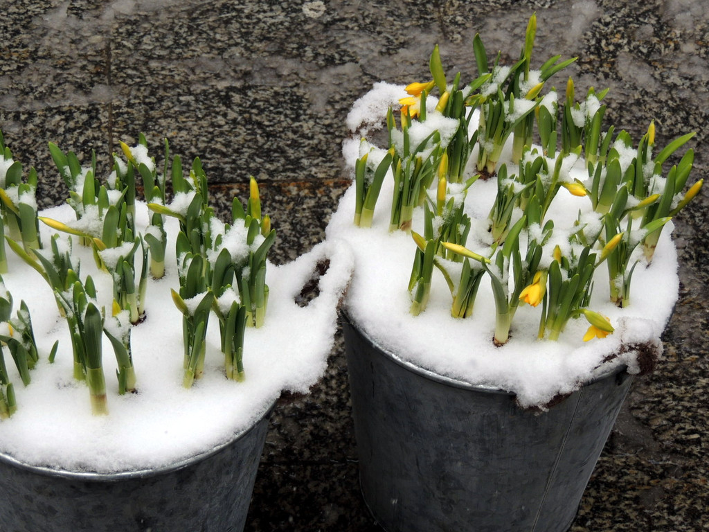 DSCN9010_JPG-1364343149