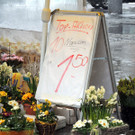 DSCN8982_JPG-1364343125