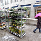 DSCN9003_JPG-1364343128