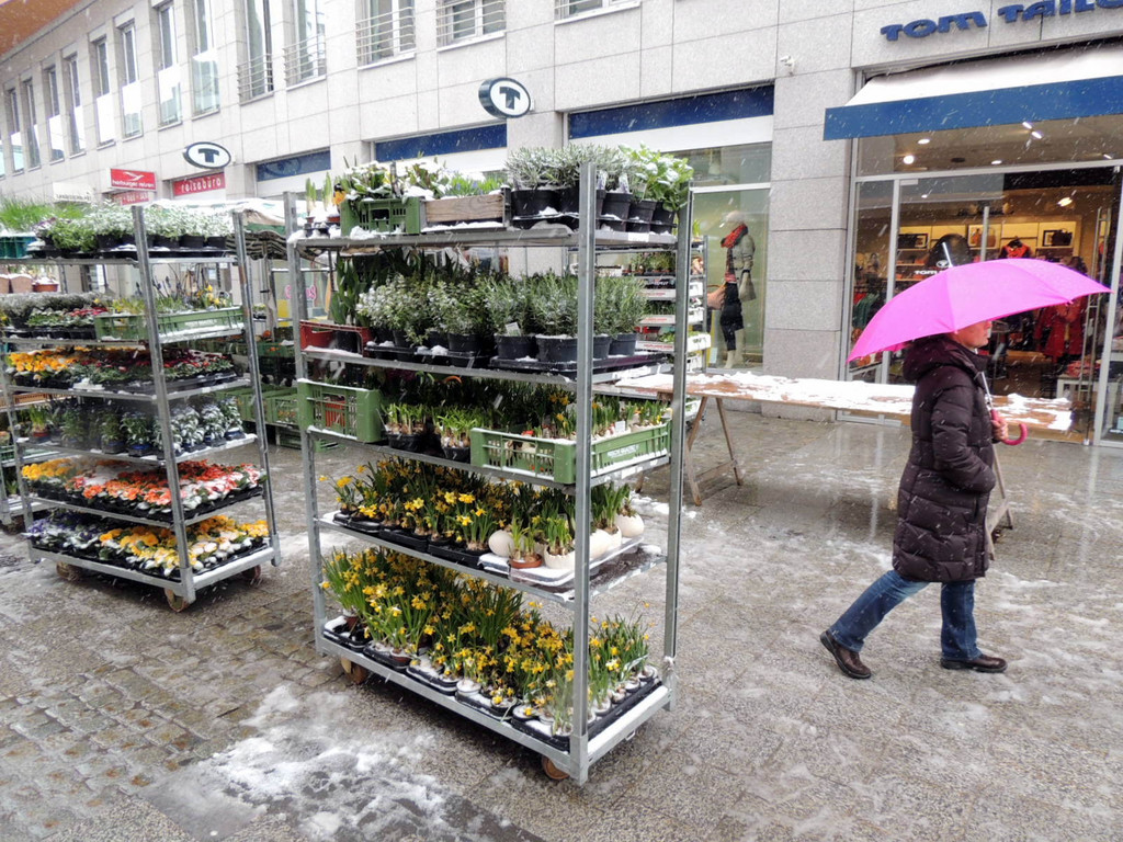 DSCN9003_JPG-1364343128