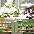 DSCN9014_JPG-1364343158