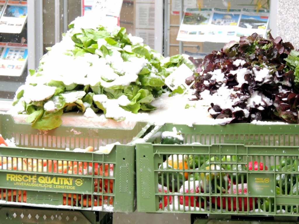 DSCN9014_JPG-1364343158