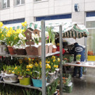 DSCN9006_JPG-1364343137