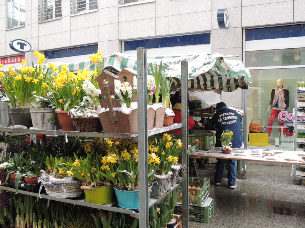 DSCN9006_JPG-1364343137