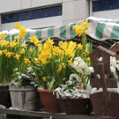 DSCN9007_JPG-1364343141