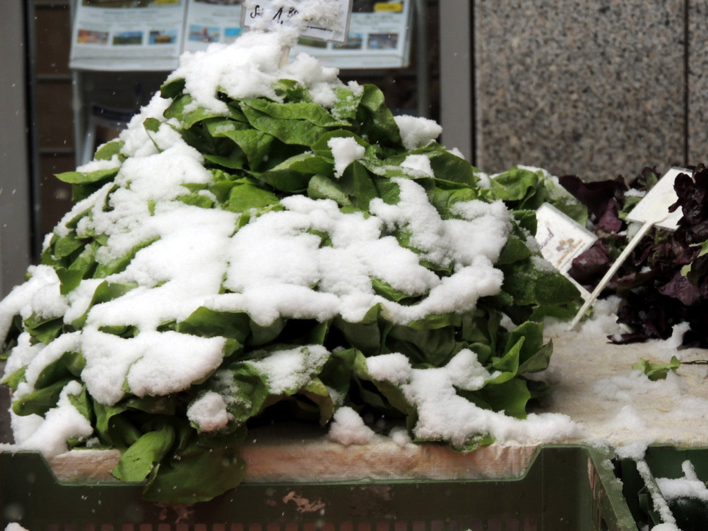 DSCN9017_JPG-1364343162