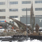 DSCN8873_JPG-1364345177