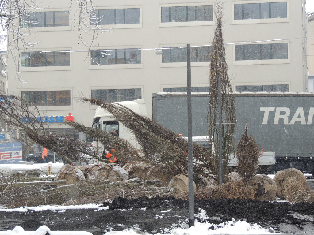 DSCN8873_JPG-1364345177