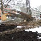 DSCN8876_JPG-1364345185