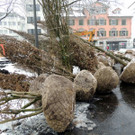 DSCN8877_JPG-1364345188