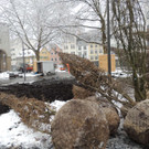 DSCN8878_JPG-1364345192