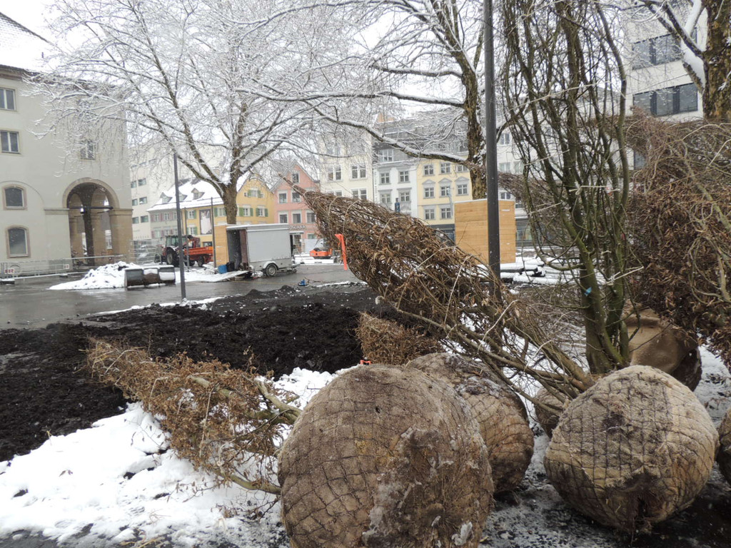 DSCN8878_JPG-1364345192