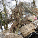 DSCN8879_JPG-1364345195