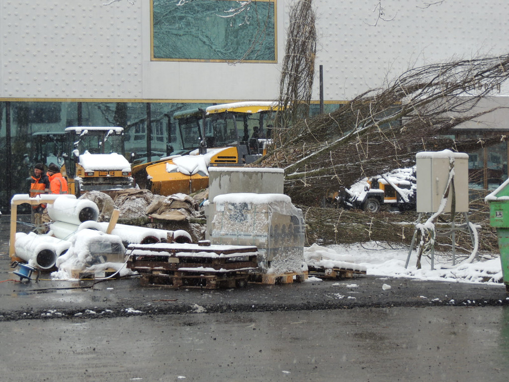 DSCN8858_JPG-1364345217