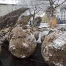 DSCN8880_JPG-1364345198