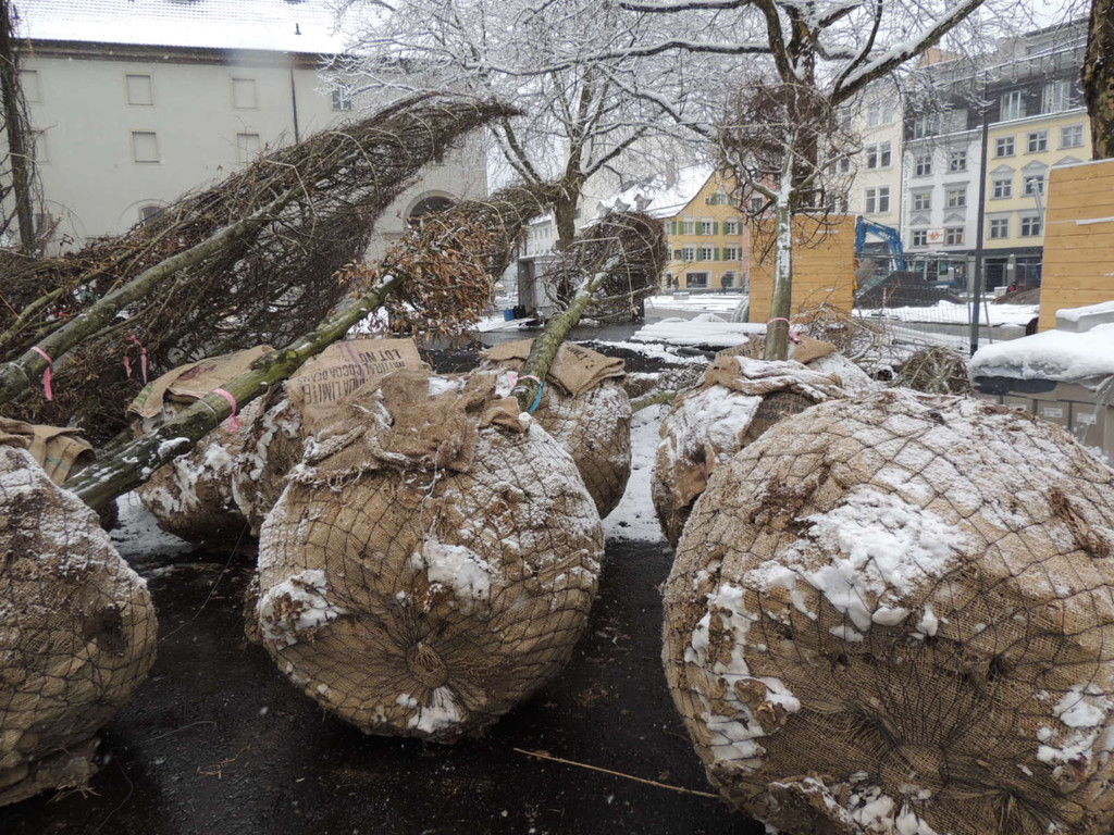 DSCN8880_JPG-1364345198