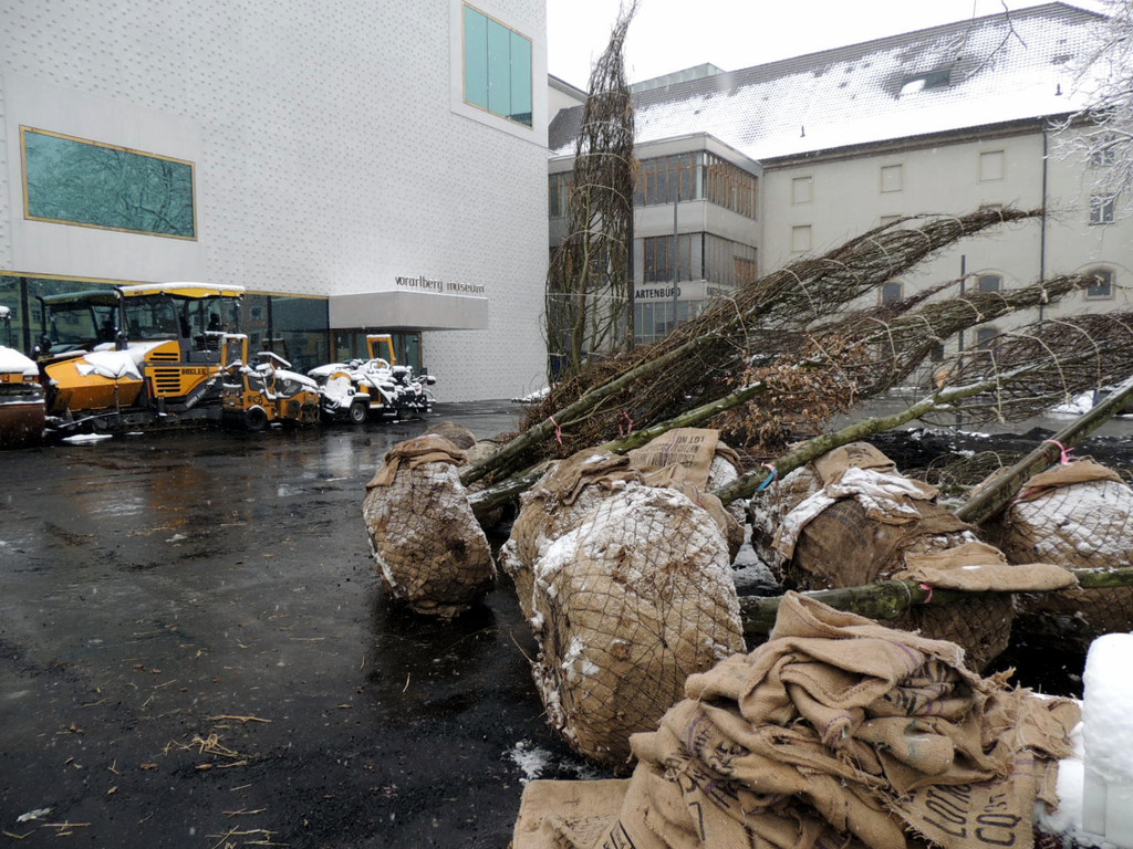 DSCN8882_JPG-1364345205