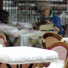 DSCN8985_JPG-1364390375