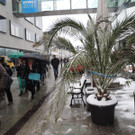 DSCN9044_JPG-1364390398