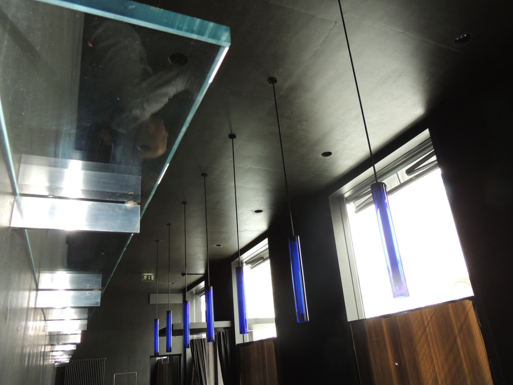 DSCN8891_JPG-1364392488