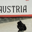 DSCN7344_JPG-1364395219