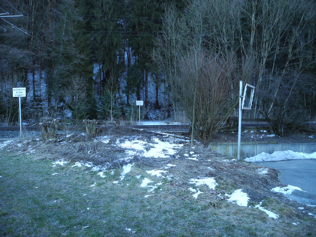 DSCN1308_JPG-1364397940