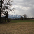 IMG_6774_jpg-1364400690