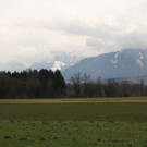 IMG_6775_jpg-1364400692