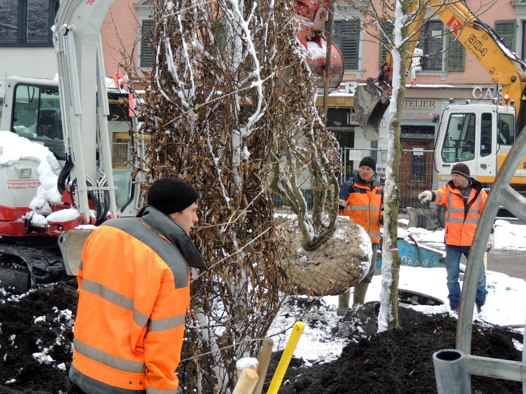 DSCN9120_JPG-1364462715