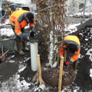 DSCN9147_JPG-1364462749