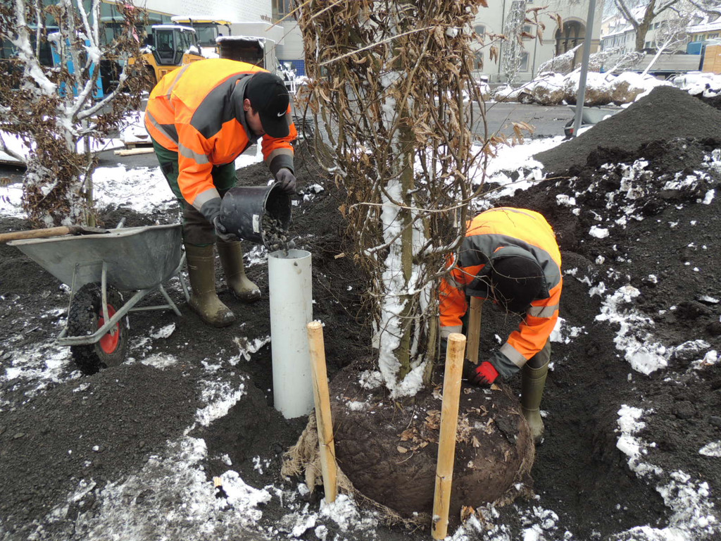 DSCN9147_JPG-1364462749