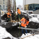 DSCN9125_JPG-1364462719