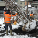 DSCN9138_JPG-1364462741