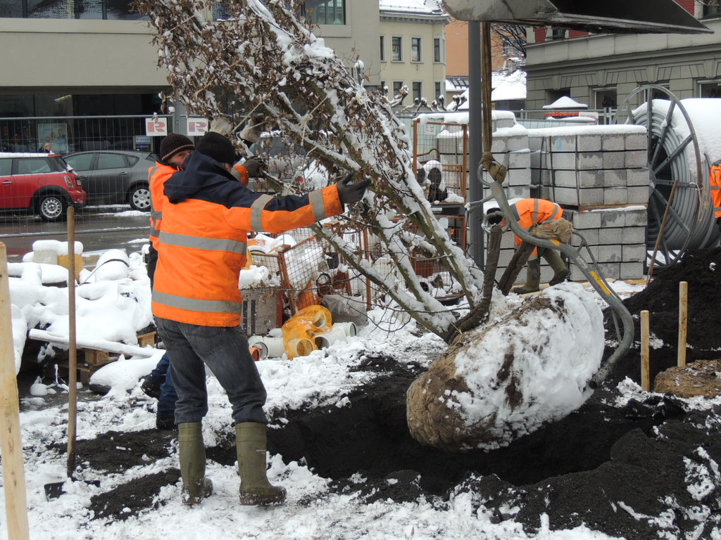 DSCN9138_JPG-1364462741