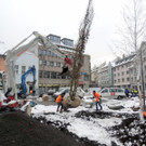 DSCN9132_JPG-1364462726