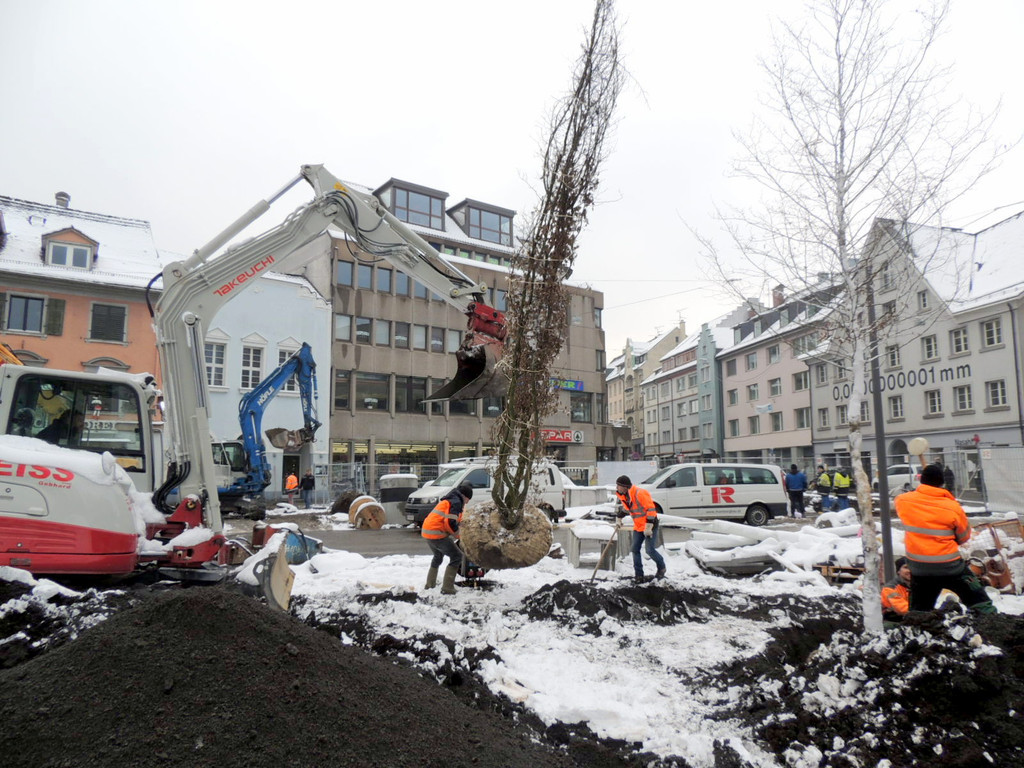 DSCN9132_JPG-1364462726