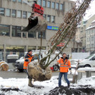 DSCN9134_JPG-1364462730