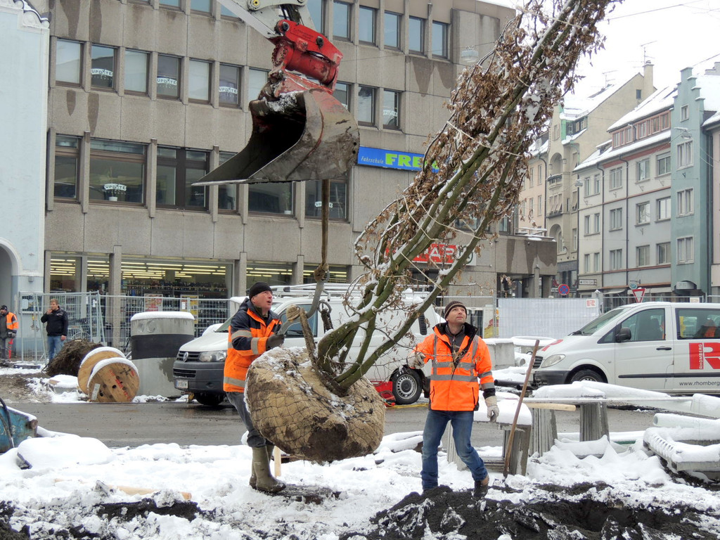 DSCN9134_JPG-1364462730