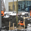 DSCN9156_JPG-1364462767