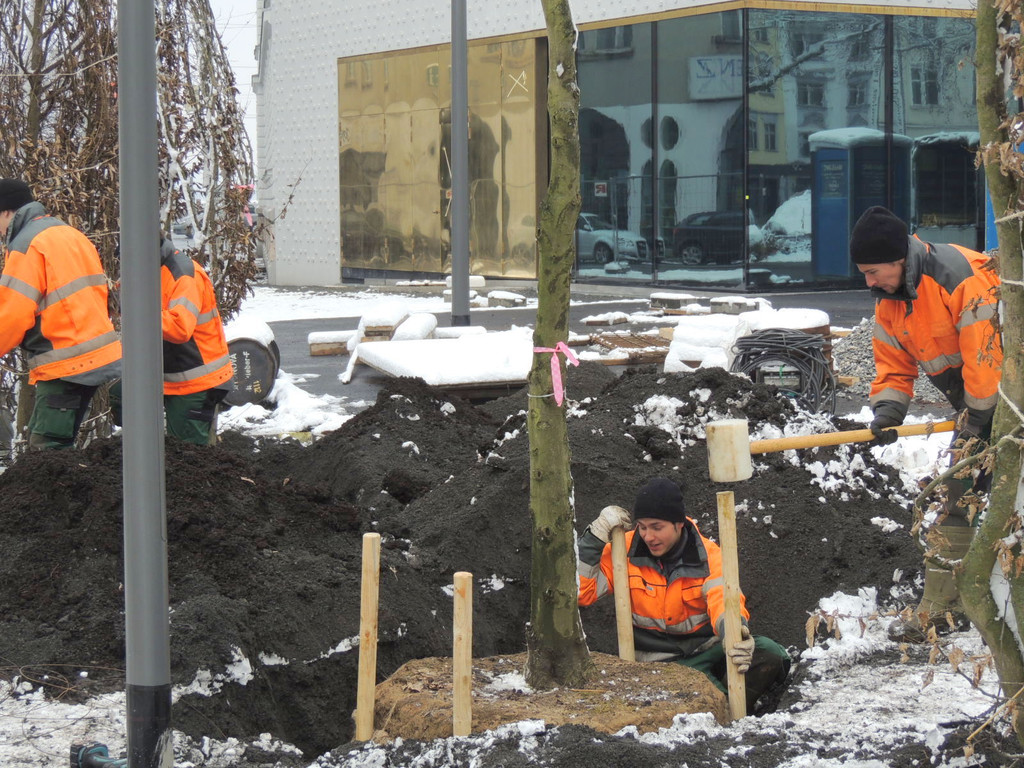 DSCN9156_JPG-1364462767