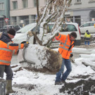 DSCN9135_JPG-1364462734